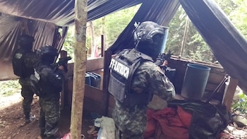Autoridades hondureñas localizaron cuatro plantaciones de hoja de coca en Colón