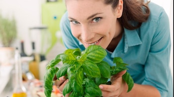 Té - albahaca - bebida caliente - Perú - historias - 5 junio