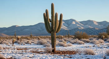 Arizona, Colorado, Nuevo México, Nevada,