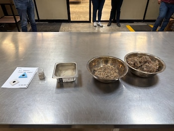 Sargazo en México