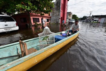 Identifica también el mal manejo