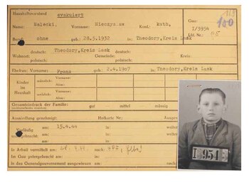 Los alemanes tomaron y
seleccionaron para