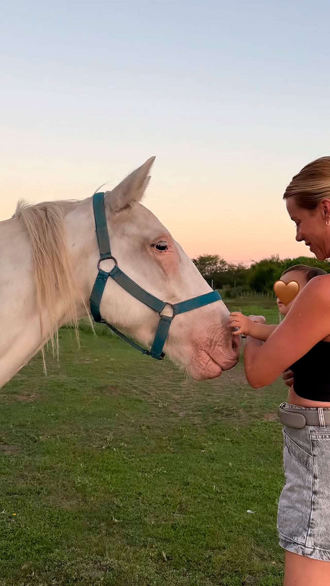 Nicole junto a Zeus, el caballo que rescato de tirar de un carro