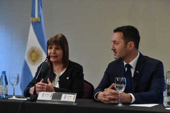 Patricia Bullrich y Luis Petri