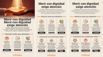 Infografía dividida en tres secciones con texto sobre cuidados paliativos, íconos ilustrativos y el logotipo de Infobae en la base.