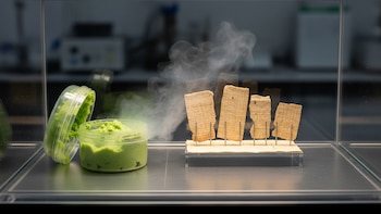 Wasabi contra el deterioro: la