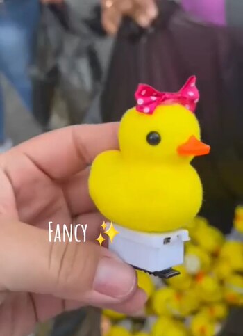 Se cree que el patito