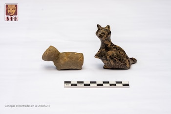 Se encontraron dos conopas con