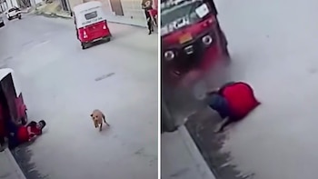 Perro chocó a motociclista y