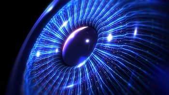 El Colegio de Ingenieros de Lima se prepara para lo peor e instala un centro de observación con IA: ¿qué intenta encontrar?