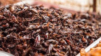 Cómo Tailandia se transformó en