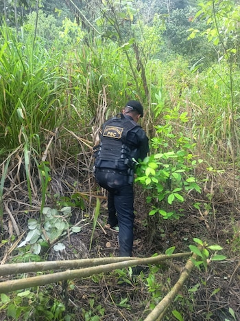 Oficial con uniforme negro y sombrero oscuro se inclina, inspeccionando el suelo cubierto de vegetación en una densa selva tropical