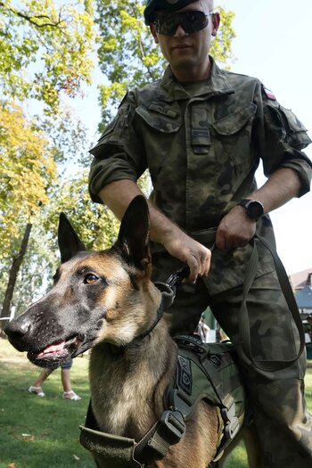 Perros Polonia - 2024