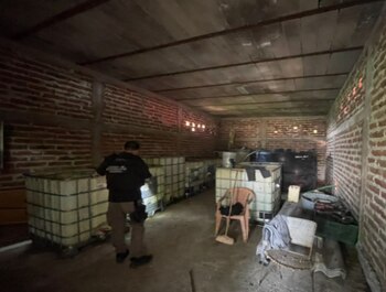 El operativo permitió recuperar un