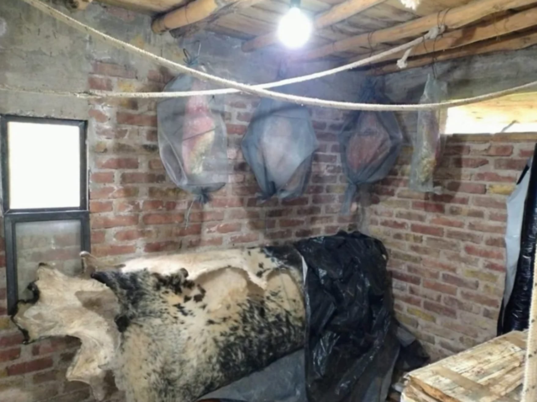 Material secuestrado en los allanamientos (Ministerio de Seguridad y Justicia de Mendoza)