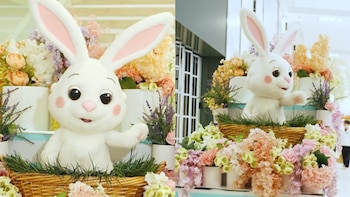 Un conejo de Pascua blanco de peluche con orejas y mejillas rosadas, ojos grandes, rodeado de arreglos florales en tonos pastel y follaje verde en una cesta