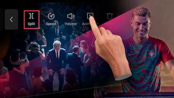‘Te perdí entre la multitud’, el trend de TikTok que conquista las redes: así puedes hacerlo paso a paso