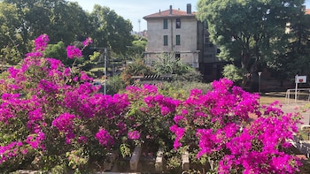 Los jardines y áreas comunes