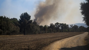 En libertad el detenido por el incendio de la Bisbal (Girona) tras pasar a disposición judicial