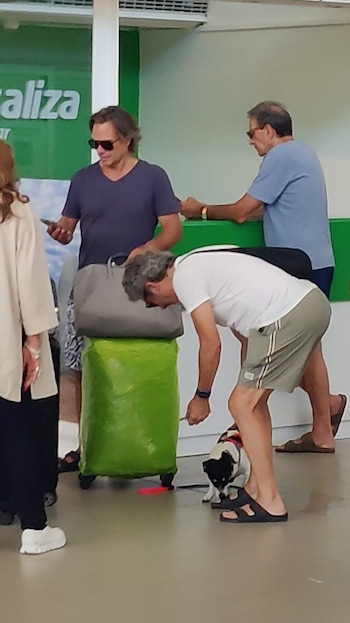 La llegada inesperada de una