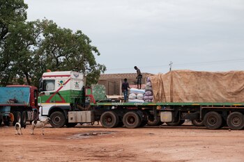 El JNIM controla muchas de