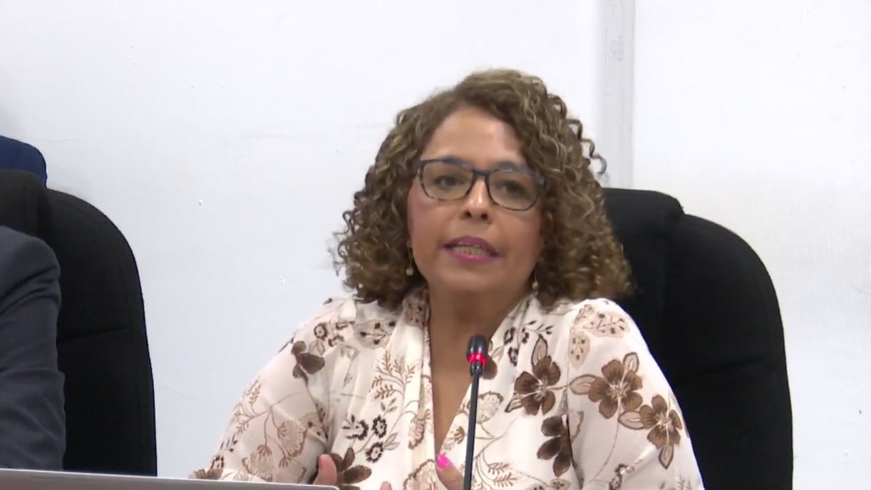 Laura Michelle Arce de Aguilar defiende reasignaciones a Salud y turismo: “La estrategia que emplea el Ejecutivo se apoya en la transformación digital, la atención primaria y la modernización del sistema sanitario”.