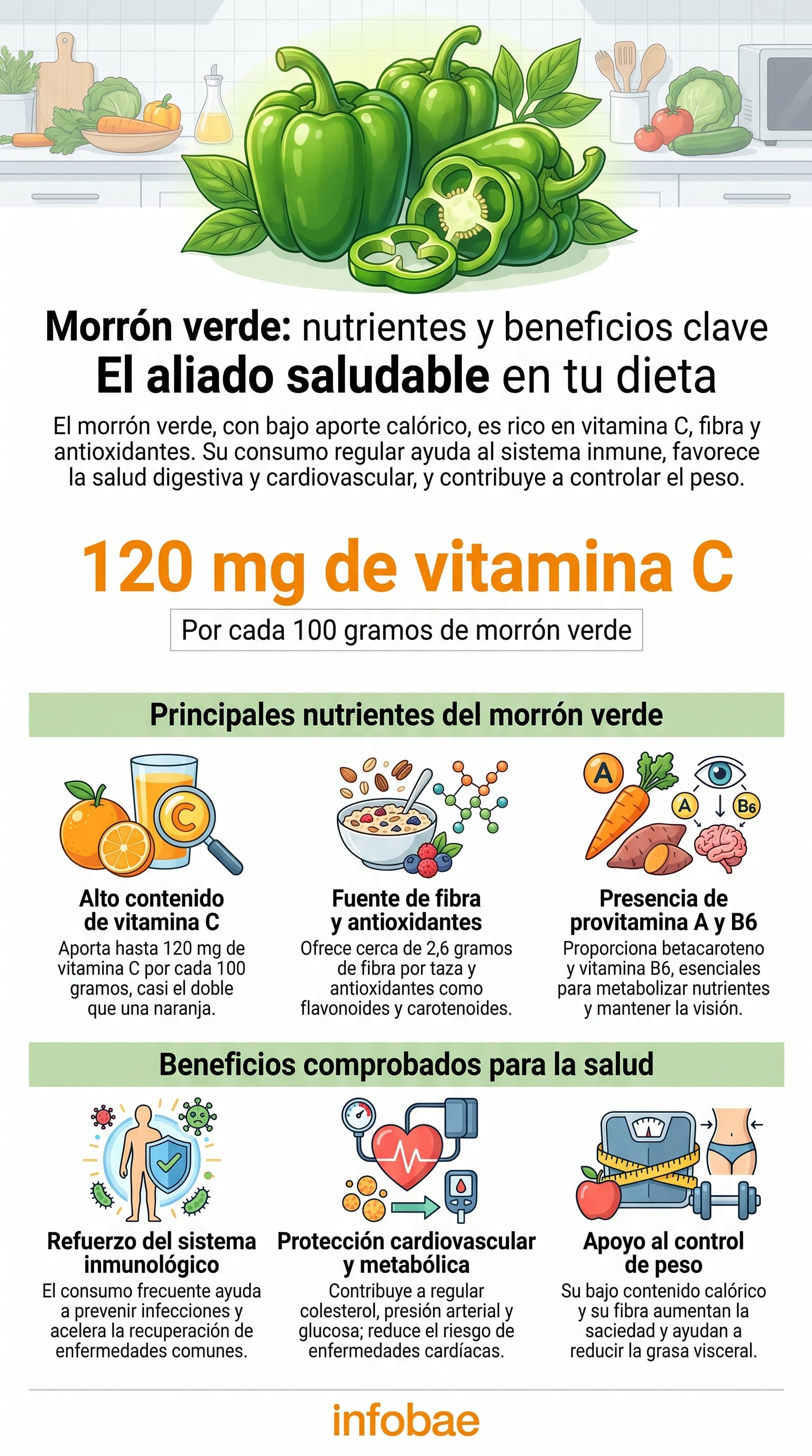 El morrón verde es bajo en calorías, contiene cerca de 20 calorías cada 100 gramos y ofrece un aporte destacado de vitamina C (Imagen Ilustrativa Infobae)