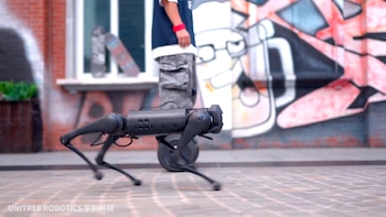 El perro robot de Unitree