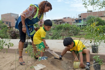 El Ministerio del Ambiente promueve
