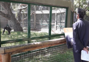 El fallo judicial quedó firme tras la intervención de la Corte Suprema de Justicia de la Nación y habilitó la ejecución del traslado internacional
(Min. Público de Río Negro)