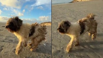 Emmy desarrolló un carácter juguetón