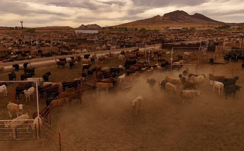 Uno de los puertos de ingreso volverá a abrir desde el próximo 7 de julio (REUTERS/José Luis González)