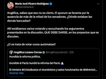 María José Pizarro defiende el proceso de validación de la reforma política - crédito María José Pizarro/X
