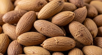 Los carozos de aceituna se