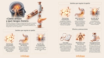 Infografía con ilustraciones de un cerebro, un inyector, un estómago, receptores celulares y frascos de medicamentos con textos explicativos.