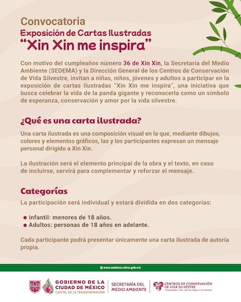 Cartel de convocatoria con texto sobre la exposición de cartas 'Xin Xin me inspira' para el cumpleaños 36 de la panda gigante, decorado con bambú