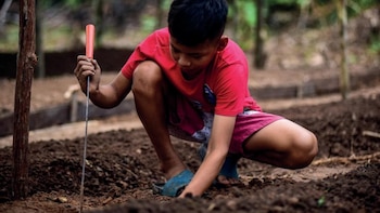 Impulsan red global con foco en Perú para que la niñez vulnerable participe en decisiones públicas