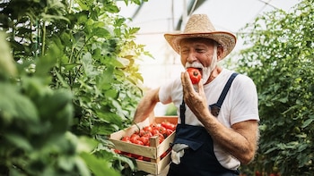 Una actividad popular entre personas