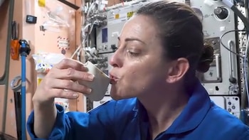 Así es la taza de porcelana que permite tomar café en el espacio y terminó en el Smithsonian