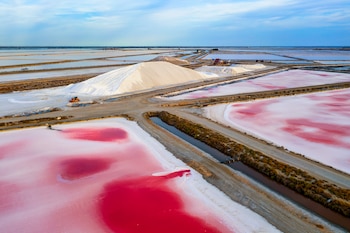 Salinas de Aigues-Mortes, en Francia (Adobe Stock).