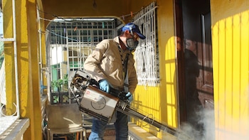 Hospitalizaciones por dengue en Panamá muestran una reducción del 23% en comparación con el año pasado