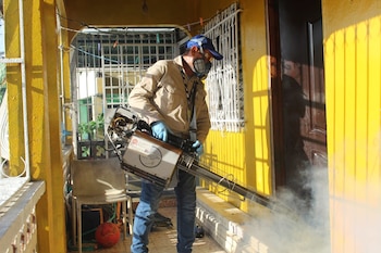 La eliminación de criaderos es clave para reducir el avance de la enfermedad. Cortesía Minsa