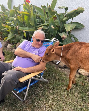 El animal conviviendo con el