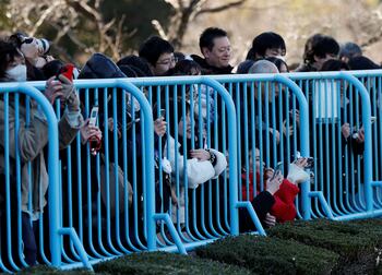 Multitud de visitantes en el zoológico de Ichikawa tras la viralización de la historia de Punch