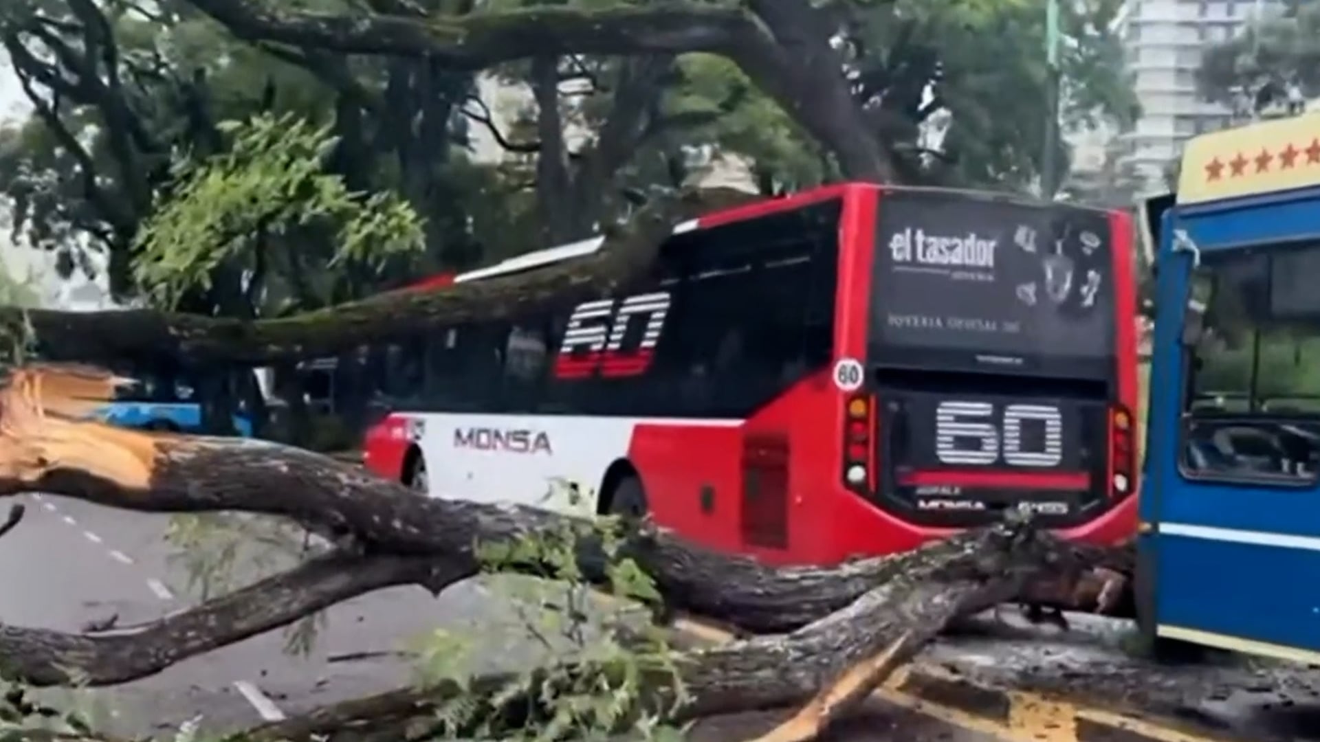 El choque involucró a la línea 29 y la línea 60 en el cruce de Avenida Virrey Vértiz y Sucre, una de las zonas más transitadas de Belgrano
