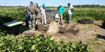 En 2018 se realizaron nuevas