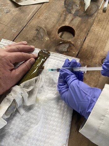 Científicos de la CAR trabajando