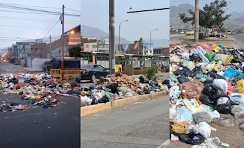 Vecinos denuncian la proliferación de