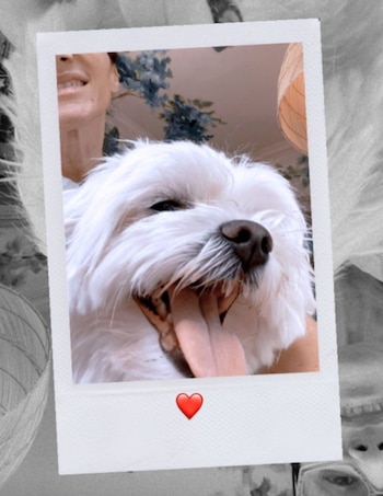 Vero Lozano Instagram