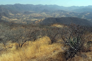 La sequías son causadas por
